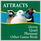 Show in main carousel: Wild Delight Dove Quail Mix Wild Bird Food, 10-lb slide 4 of 9