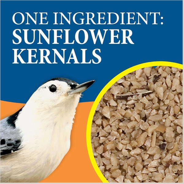 Show full view: Wild Delight Fine Sunflower Chips Wild Bird Food, 5-lb slide 5 of 10