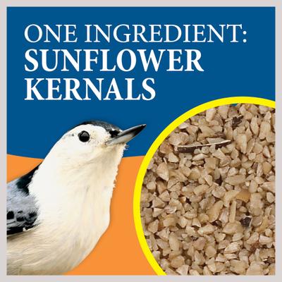 Show full view: Wild Delight Fine Sunflower Chips Wild Bird Food, 5-lb slide 5 of 10