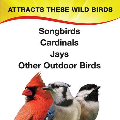 Show full view: Wild Delight Fruit N' Berry Wild Bird Food, 5-lb bag slide 4 of 8