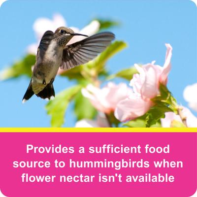 Show full view: Wild Delight Hummingbird Hydrate Concentrate Nectar Wild Bird Food, 16-oz bottle slide 5 of 9