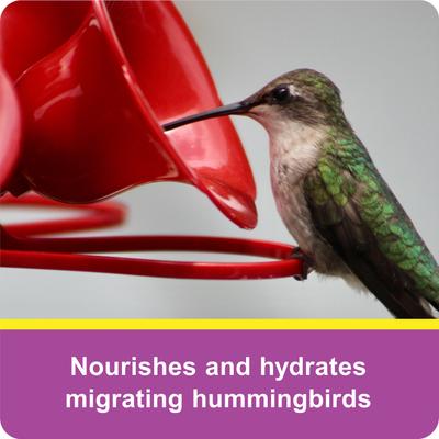 Show full view: Wild Delight Hummingbird Hydrate Concentrate Nectar Wild Bird Food, 16-oz bottle slide 6 of 9