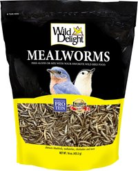 Wild Delight Mealworms Wild Bird Food, 16-oz bag