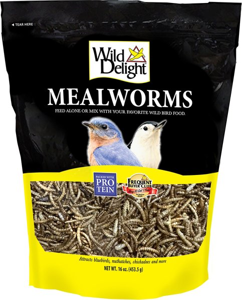 Wild Delight Mealworms Wild Bird Food, 16-oz bag