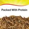 Show in main carousel: Wild Delight Mealworms Wild Bird Food, 16-oz bag slide 3 of 9