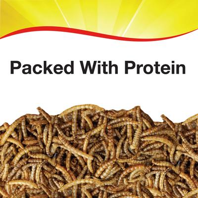 Show full view: Wild Delight Mealworms Wild Bird Food, 16-oz bag slide 3 of 9