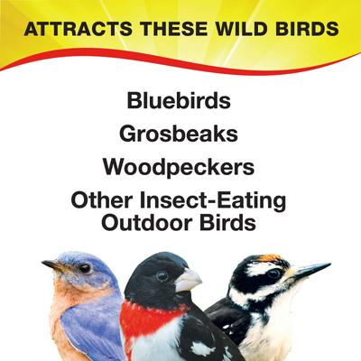 Show full view: Wild Delight Mealworms Wild Bird Food, 16-oz bag slide 4 of 9