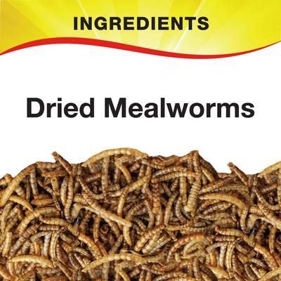 Show full view: Wild Delight Mealworms Wild Bird Food, 16-oz bag slide 6 of 9