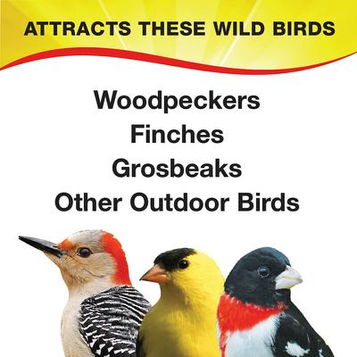 Show full view: Wild Delight Nut N' Berry Wild Bird Food, 20-lb bag slide 4 of 9