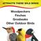 Show in main carousel: Wild Delight Nut N' Berry Wild Bird Food, 5-lb bag slide 4 of 9