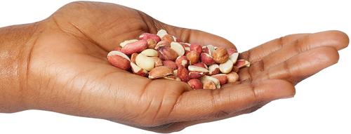 Show full view: Wild Delight Shelled Peanuts Wild Bird Food, 10-lb slide 3 of 7