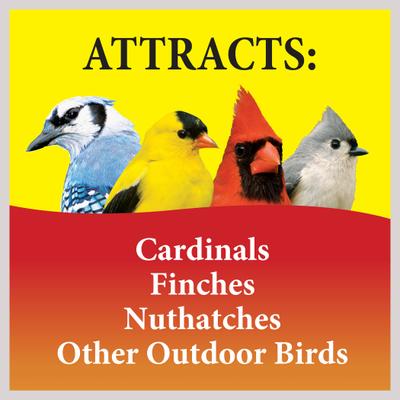 Show full view: Wild Delight Sizzle N’ Heat Suet Wild Bird Food, 11.75-oz tray slide 3 of 8