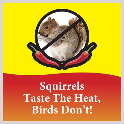 Show full view: Wild Delight Sizzle N’ Heat Suet Wild Bird Food, 11.75-oz tray slide 4 of 8