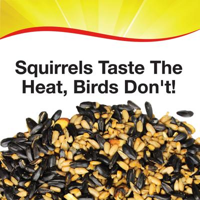 Show full view: Wild Delight Sizzle N’ Heat Wild Bird Food, 14-lb bag slide 3 of 9