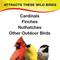 Show in main carousel: Wild Delight Sizzle N’ Heat Wild Bird Food, 14-lb bag slide 4 of 9