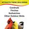 Show in main carousel: Wild Delight Sizzle N’ Heat Wild Bird Food, 5-lb bag slide 4 of 9