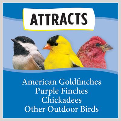 Show full view: Wild Delight Sock Finch Feeder, 13-oz bag slide 4 of 10