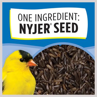 Show full view: Wild Delight Sock Finch Feeder, 13-oz bag slide 6 of 10