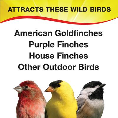 Show full view: Wild Delight Special Finch Wild Bird Food, 5-lb bag slide 4 of 9