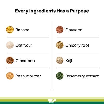 Show full view: Wild Earth Good Protein Dog Snacks with Koji Banana & Cinnamon Flavor Crunchy Dog Treats, 5-oz bag slide 6 of 9