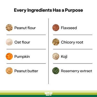 Show full view: Wild Earth Good Protein Dog Snacks with Koji Peanut Butter Flavor Crunchy Dog Treats, 5-oz bag slide 6 of 9