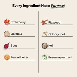 Wild Earth Good Protein Dog Snacks with Koji Strawberry & Beet Flavor Crunchy Dog Treats, 5-oz bag slide 2 of 7