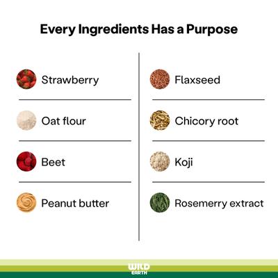 Show full view: Wild Earth Good Protein Dog Snacks with Koji Strawberry & Beet Flavor Crunchy Dog Treats, 5-oz bag slide 6 of 10