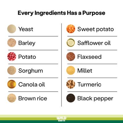 Show full view: Wild Earth Maintenance Formula Golden Rotisserie Flavor Plant-Based Dog Dry Food, 28-lb bag slide 7 of 9