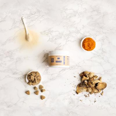 Show full view: Wild Earth Soft Chew Digestive & Immune Supplement for Dogs, 6.3-oz bottle slide 4 of 5