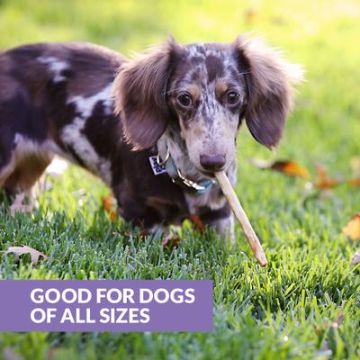 Show full view: Wild Eats Collagen Retriever Adult Sticks 0.6-cm Duck Flavor Dog Treats, 25 count slide 3 of 9