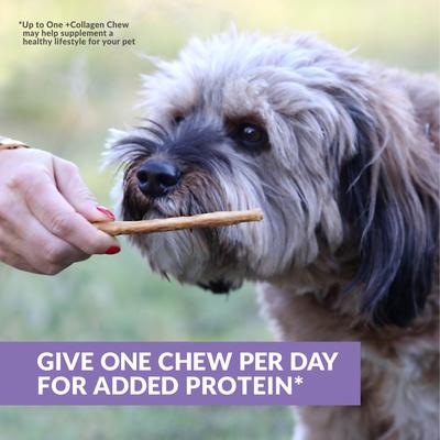 Show full view: Wild Eats Collagen Retriever Adult Sticks 1-cm Duck Flavor Dog Treats, 15 count slide 4 of 10