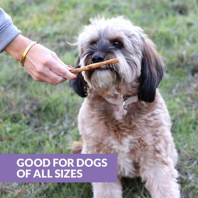 Show full view: Wild Eats Collagen Retriever Adult Sticks 1-cm Duck Flavor Dog Treats, 15 count slide 3 of 10