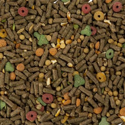 Show full view: Wild Harvest Advanced Nutrition Complete & Balanced Diet Guinea Pig Food, 8-lb bag slide 5 of 9