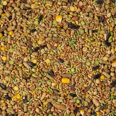 Show full view: Wild Harvest Advanced Nutrition Complete & Balanced Diet Hamster & Gerbil Food, 4-lb bag slide 4 of 8