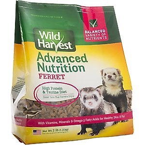 Wild Harvest Advanced Nutrition Ferret Food, 3-lb bag