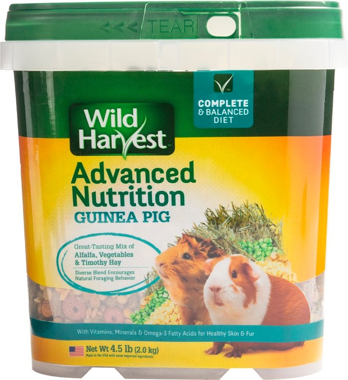 Guinea Pig Food | Chewy