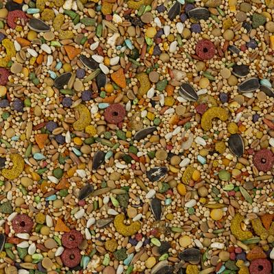 Show full view: Wild Harvest Advanced Nutrition Seed, Grain & Vegetable Mix Cockatiel Food, 8-lb bag slide 3 of 8