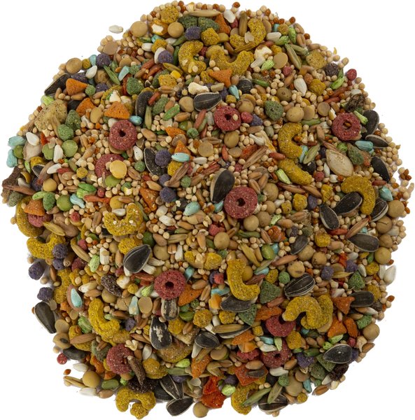 Wild Harvest Advanced Nutrition Seed, Grain & Vegetable Mix Cockatiel Food, 8-lb bag