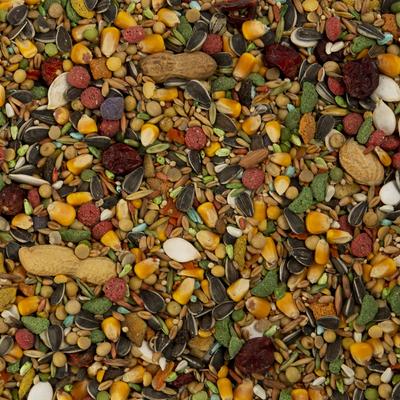 Show full view: Wild Harvest Advanced Nutrition Seed, Grain & Vegetable Mix Parrot Food, 8-lb bag slide 3 of 9