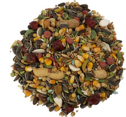 Show full view: Wild Harvest Advanced Nutrition Seed, Grain & Vegetable Mix Parrot Food, 8-lb bag slide 4 of 9