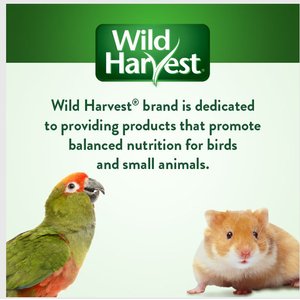 Wild Harvest Colored Fruit Flavored Wood Chews Small Pet Toy, 5 count 