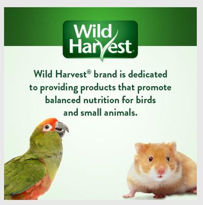 Show full view: Wild Harvest Colored Fruit Flavored Wood Chews Small Pet Toy, 5 count  slide 2 of 5