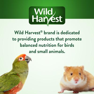 Show full view: Wild Harvest Daily Blend Parakeet Food, 2-lb bag slide 8 of 8