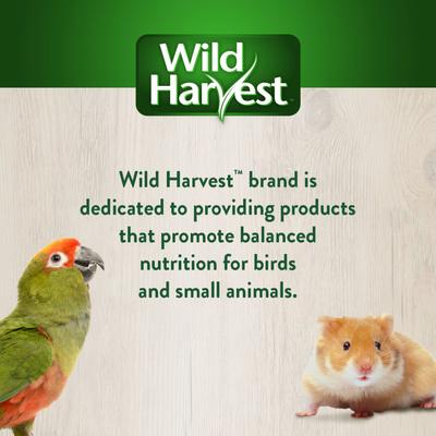 Show full view: Wild Harvest Edible Logz Natural Small Pet Hideaway slide 7 of 8