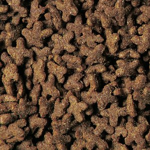 Wild Harvest Nutrient Rich Diet Hedgehog Food, 22-oz bag