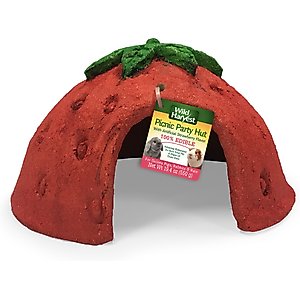 Wild Harvest Picnic Party Hut Strawberry Small Pet Treat