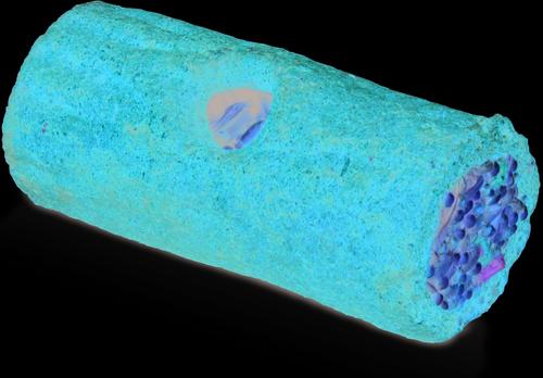 Show full view: Wild Harvest Stuffed Logz Small Pet Treat, 1 count slide 4 of 8