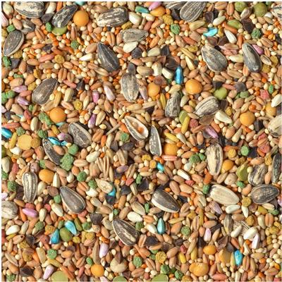 Show full view: Wild Harvest Universal Blend Bird Food, 3-lb bag slide 3 of 9