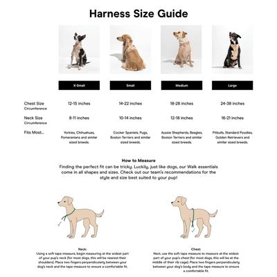 Show full view: Wild One Adjustable Cushioned Dog Harness, Black, Large slide 5 of 8