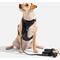 Show in main carousel: Wild One Adjustable Cushioned Dog Harness, Black, Medium slide 4 of 8